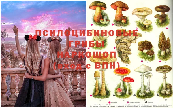 герыч Надым