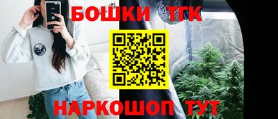 скорость Бийск