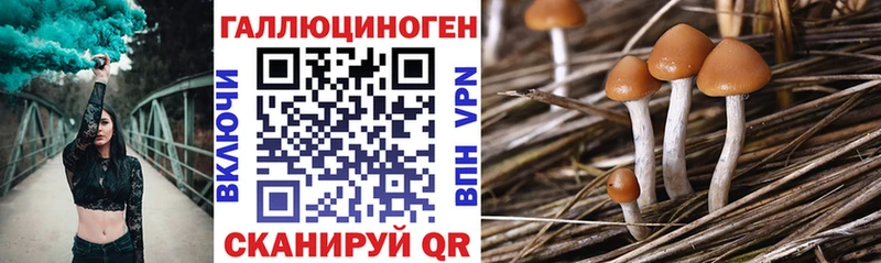 Галлюциногенные грибы Psilocybe  Изобильный 