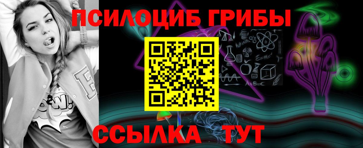 Галлюциногенные грибы Psilocybine cubensis Изобильный