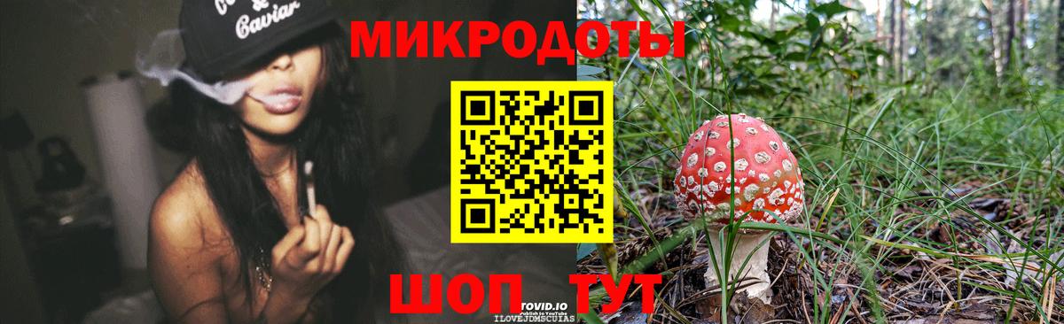 купить наркотики цена  Галлюциногенные грибы Psilocybine cubensis  Вход с VPN  Изобильный 